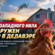 Куры-сигнальщики помогают раньше замечать вирус Западного Нила: как работает система
