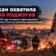 В Spokane зафиксировали сотни пожаров растительности и десятки умышленных поджогов