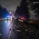 В Thurston County женщину задержали после погони и обвинений в сжигании документов