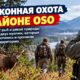 WDFW разыскивает двух мужчин по делу о незаконной добыче медведя в Oso