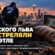 Морского льва, найденного в West Seattle, застрелили как минимум дюжиной выстрелов