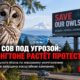 В Western Washington появились билборды против федерального плана по barred owls