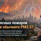 Дым лесных пожаров связали с более высоким риском госпитализации, чем другой PM2.5