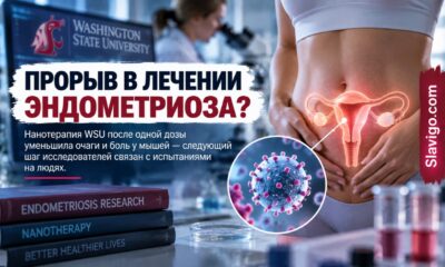 WSU испытал нанотерапию эндометриоза: одна инъекция уменьшила поражения у мышей