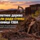 Строительство пограничной стены в Arizona рядом с уничтоженным старым деревом