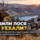В Asotin County ищут серый пикап после незаконной добычи лося