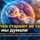 Аутофагия не просто замедляется с возрастом: эффект зависит от типа клеток, пола и физической формы