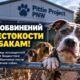 В Bellingham женщину подозревают в жестоком обращении с 30 собаками