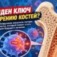 Учёные нашли возможную причину возрастной потери костной массы — результаты получены на мышах