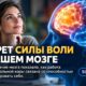 Сканирование мозга не позволяет просто измерить способность человека управлять эмоциями
