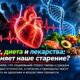 Ограничение калорий уменьшило накопление мутаций ДНК с возрастом — пока только у мышей