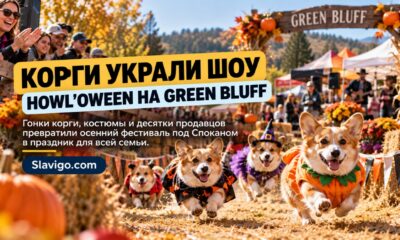 В Green Bluff прошёл Howl’oween с гонками корги и костюмами для собак