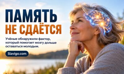 Поздние ужины связали с повышенным риском болезней печени — что показали данные 200 тысяч человек