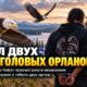 Житель Lummi Nation признал вину в незаконном оружии и гибели двух белоголовых орланов
