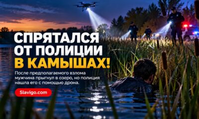 В Moses Lake подозреваемый в краже пытался скрыться от полиции среди озёрного камыша