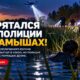 В Moses Lake подозреваемый в краже пытался скрыться от полиции среди озёрного камыша