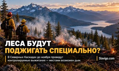 В North Cascades до ноября планируют контролируемое сжигание древесных остатков