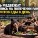 PAWS просит помощи: в Snohomish одновременно выхаживают десять медвежат