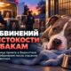 Основателю Pittie Project PNW предъявили 30 обвинений в жестоком обращении с животными