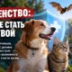 Бешенство: что делать после укуса и почему летучая мышь в доме требует особого внимания