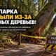 Редакционная иллюстрация: В Snohomish County временно закрыли два парка из-за опасных деревьев
