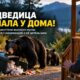 В районе Sultan медведица с медвежонком напала на жителя у дома