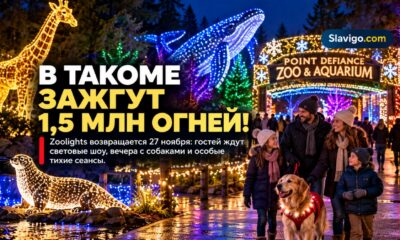 Редакционная иллюстрация: В Tacoma объявили даты Zoolights: более 1,5 млн огней и специальные вечера