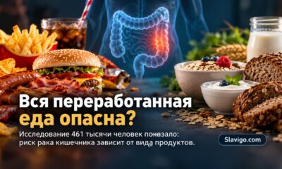 Не все ультраобработанные продукты одинаковы: новое исследование изучило риск рака кишечника