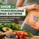 Веганское питание и микробиом: почему разнообразие бактерий оказалось ниже