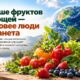 Кожура и стебли овощей могут содержать больше клетчатки, чем мякоть