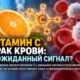 Витамин C не замедлил рост аномальных клеток, но дал неожиданный сигнал выживаемости в фазе II
