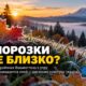 Western Washington ждёт холодный уикенд: возможен первый заморозок и снег в высоких горах