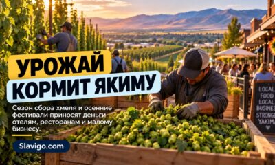 Сезон сбора хмеля приносит Yakima Valley дополнительный поток клиентов и денег
