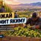 Сезон сбора хмеля приносит Yakima Valley дополнительный поток клиентов и денег